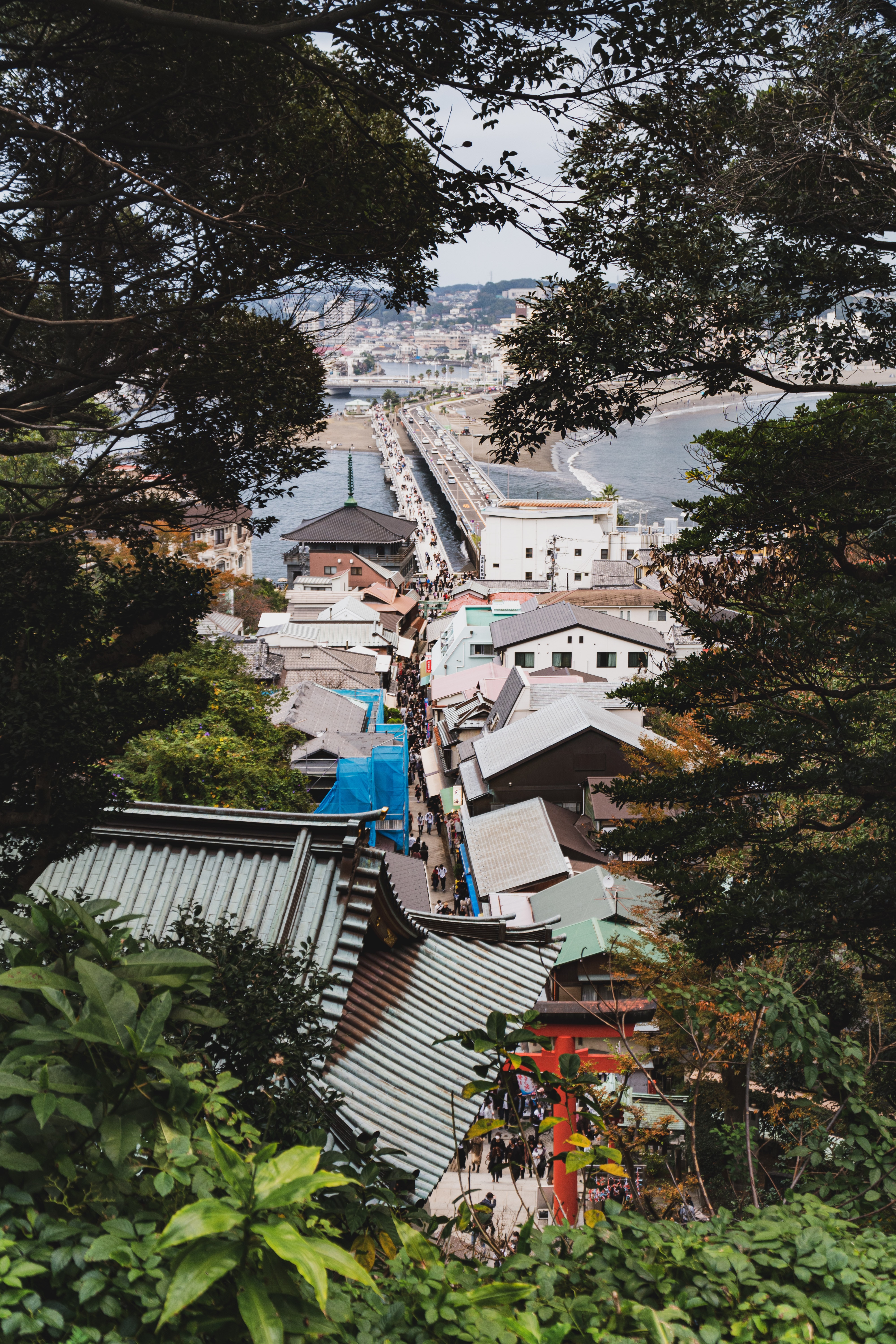 Your Travel Guide to Enoshima Island